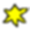 Small Star icon