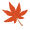 Autumn into Summer icon