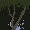 Riku Island 4.0 icon