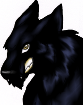 MW's 'Unbeatable' V3 icon