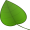 The Tree of Life icon