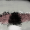 Belly of a Whale icon