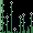 Night Arboretum icon
