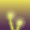 Journey to the Golden Land v2 icon